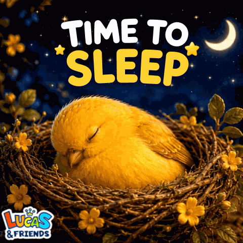 Time To Sleep Good Night Sleep GIF