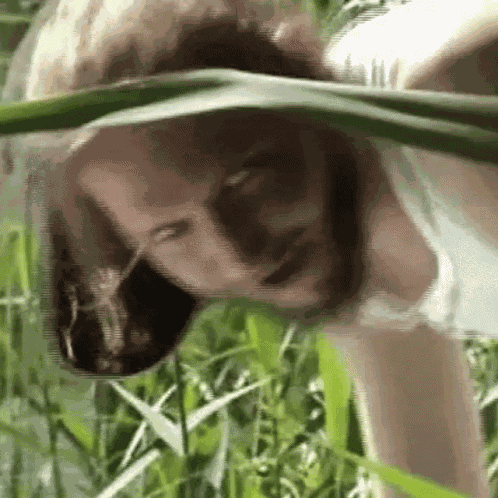Timid Kooky Aliumbas GIF