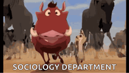 Timon And Pumbaa Wildebeest GIF