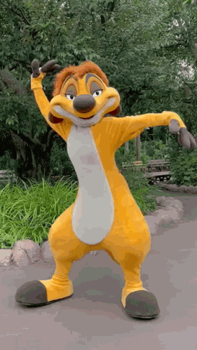 Timon Disneyland GIF