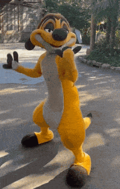 Timon Disneyland GIF