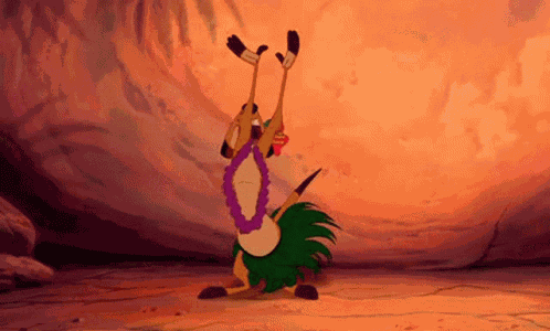 Timon Hawaiian GIF