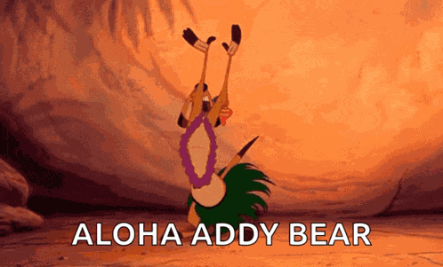 Timon Hawaiian GIF
