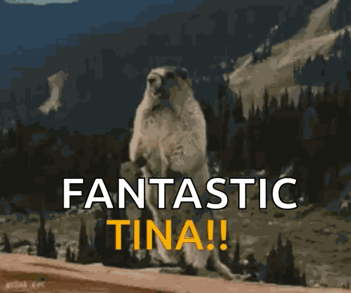Tina Beaver GIF