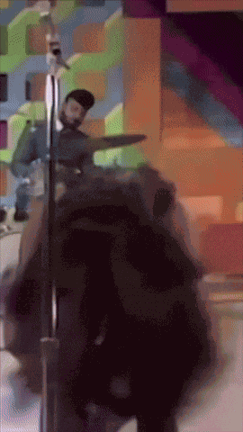 Tina Tina Turner GIF