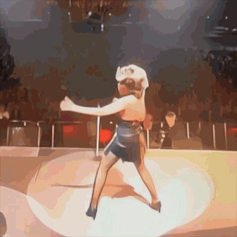 Tina Tina Turner GIF