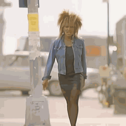 Tina Tina Turner GIF