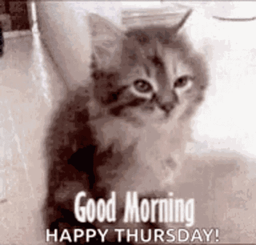 Tired Cute GIF