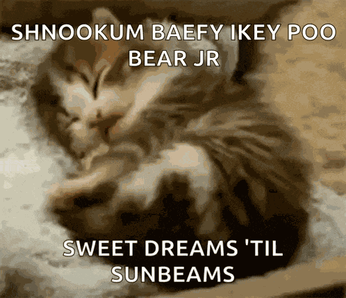 Tired Good Night GIF