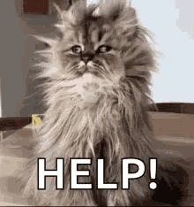 Tired Groggy GIF