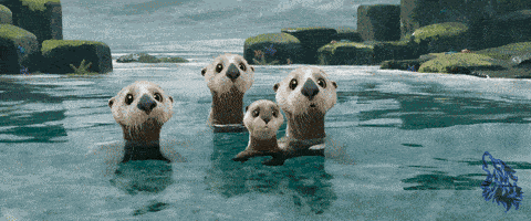 Tlw Otter GIF