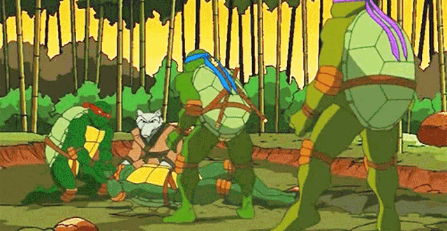 Tmnt 2003 GIF