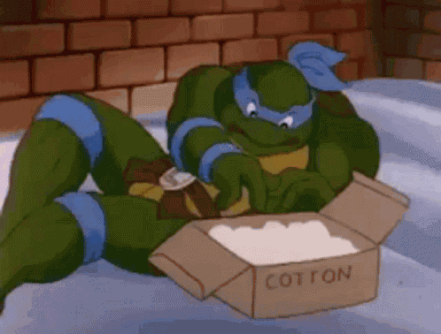 Tmnt Leonardo GIF