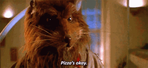 Tmnt Master Splinter GIF