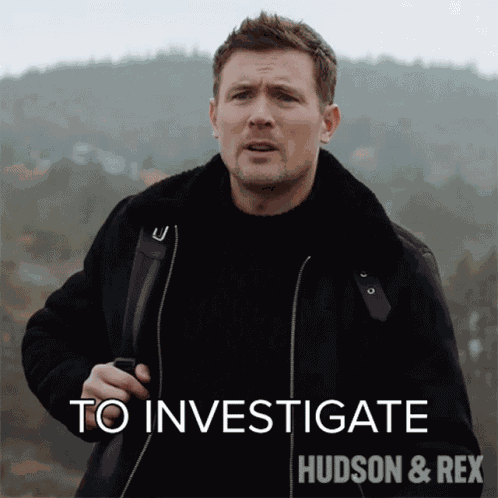 To Investigate Charlie Hudson GIF