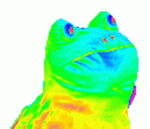 Toad Rainbow GIF