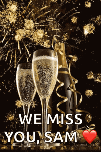 Toast Champagne Glasses GIF