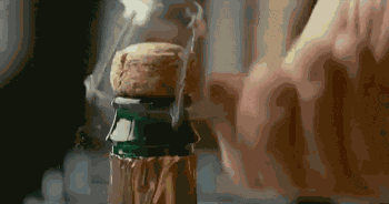 Toast Cheers GIF