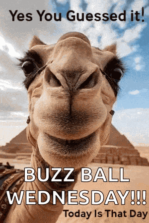 Today Is That Day Happy Wednesday GIF