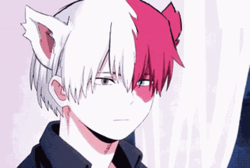 Tododoki Shouto Todoroki GIF