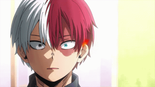 Todoroki Boku No Hero Academia GIF