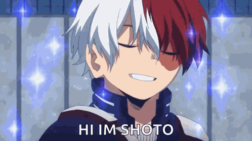 Todoroki Shoto My Hero Academia GIF