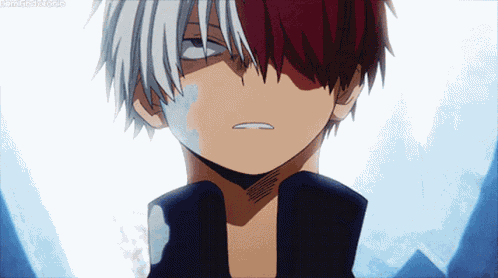 Todoroki Shoto Todoroki GIF
