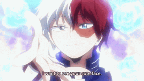Todoroki Shoto Todoroki Shouto GIF