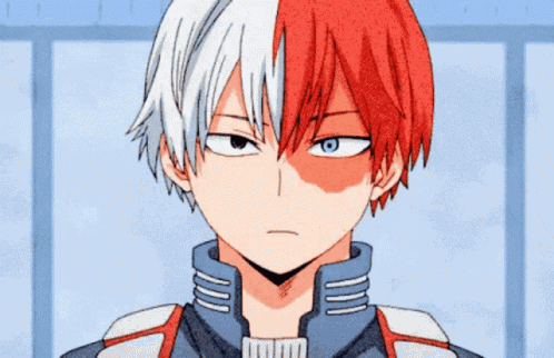 Todoroki Shouto Smile GIF