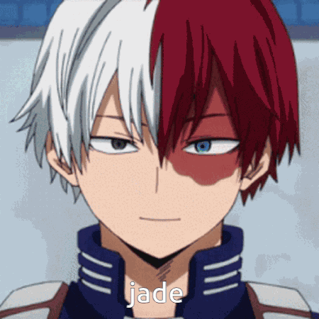 Todoroki Todoroki Shouto GIF