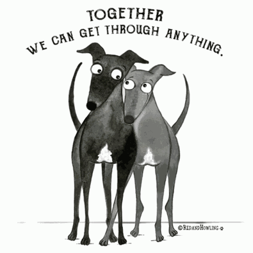 Together Dogs GIF