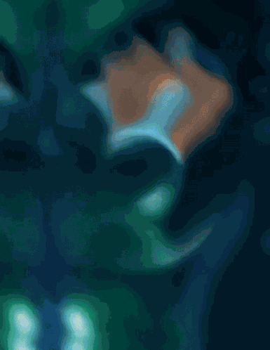 Toji Fushiguro GIF