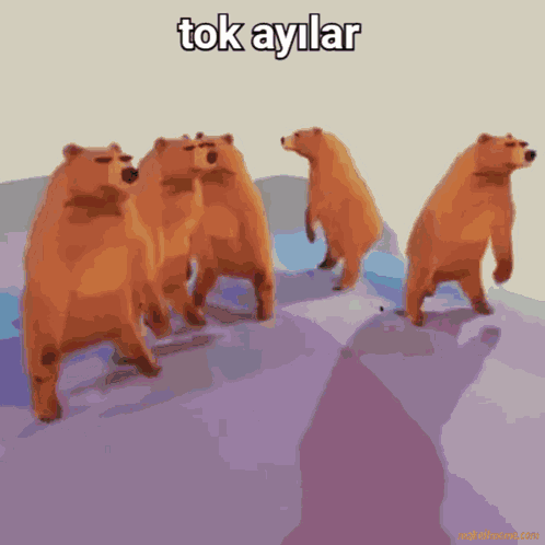 Tok Ayılar GIF