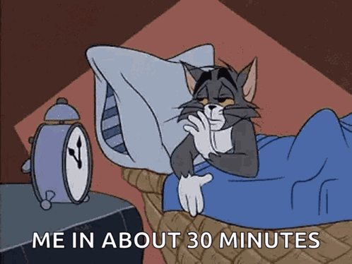 Tom And Jerry Tom GIF
