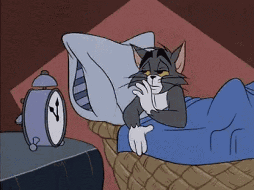Tom And Jerry Tom GIF