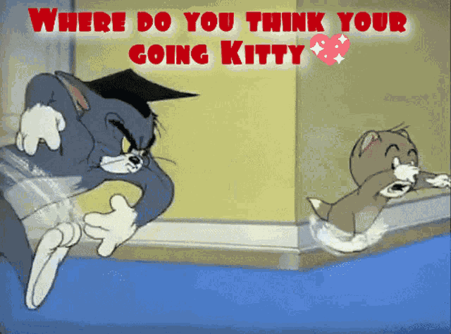 Tom And Jerry Where Do You Think Youre Going GIF