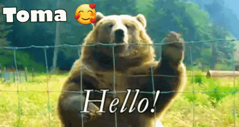 Tomamow Mato GIF