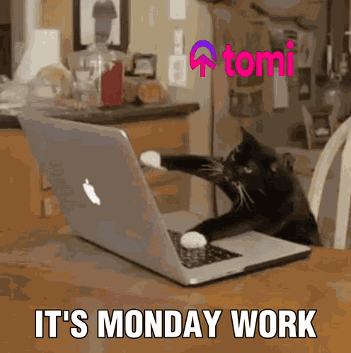 Tomi Tominet GIF
