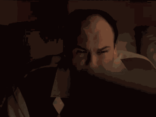 Tony Soprano GIF