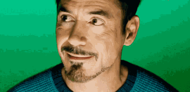 Tony Stark Robert Downey Junior GIF