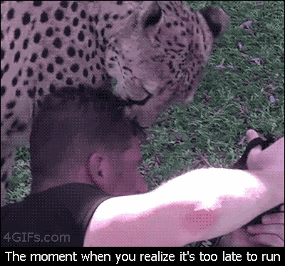 Too Late Too Late To Run GIF