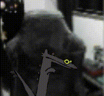 Toothless Dance Sol Fatguy GIF