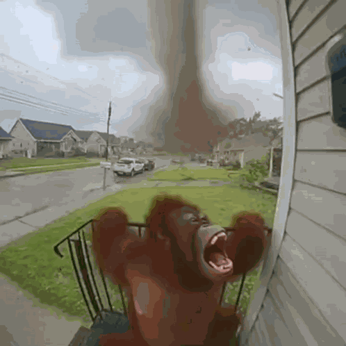 Tornado Ai GIF