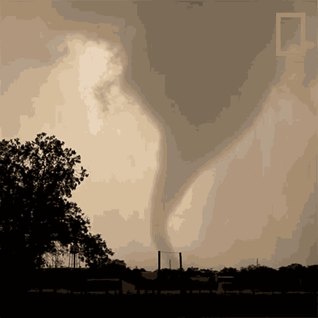 Tornado World Meteorological Day GIF