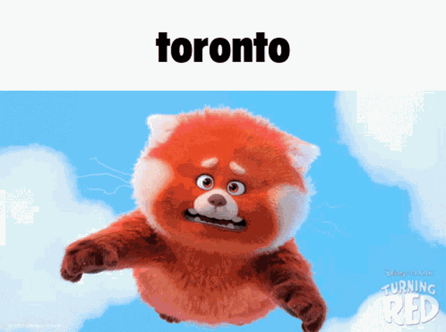 Toronto Meilin GIF