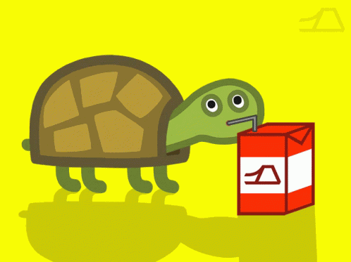 Tortoise Turtle GIF