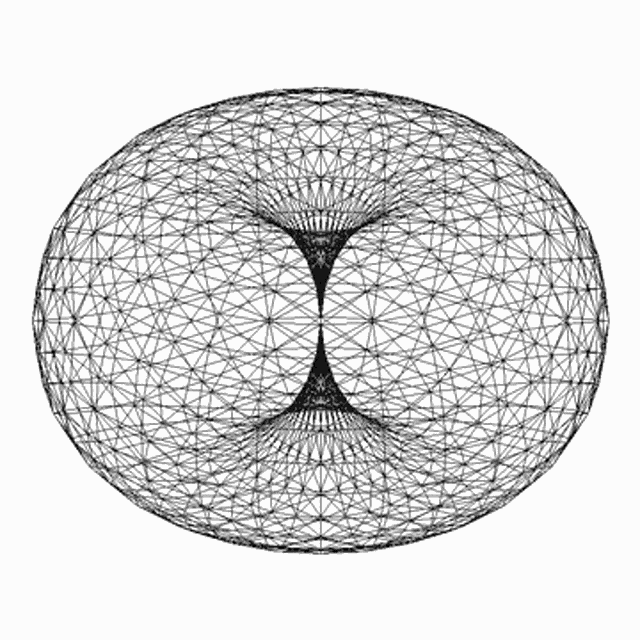 Torus Flower GIF