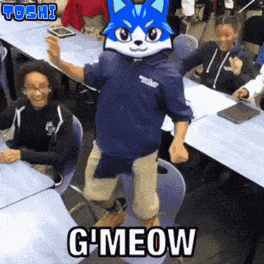 Toshi Toshi Cat GIF