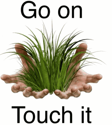 Touch Grass Meme