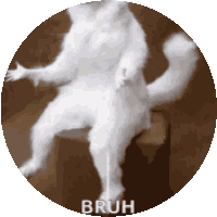 Touchdown Bruh Sticker